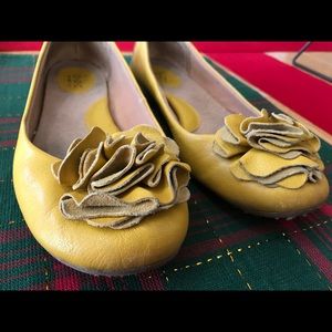 Born sunflower yellow flower flats
